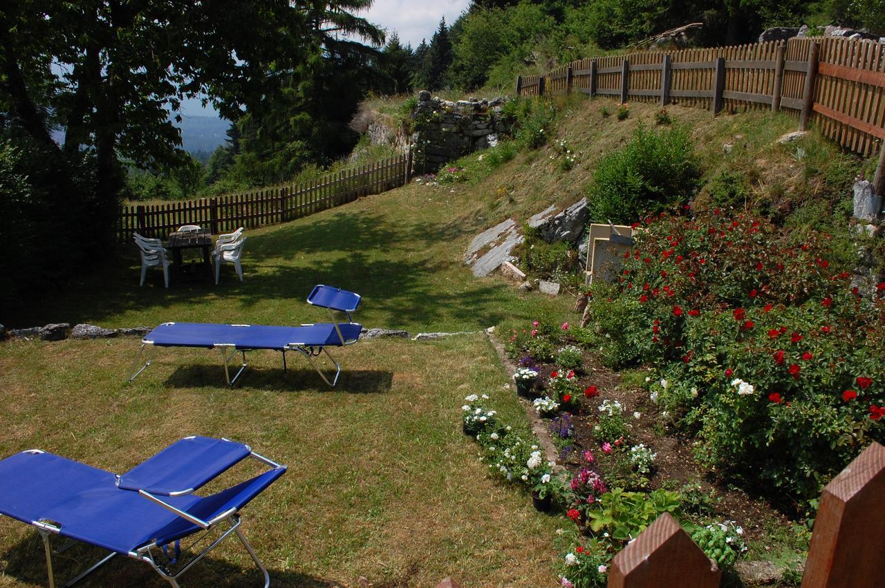 Apartament Rosa Dei Venti Lavarone Zewnętrze zdjęcie